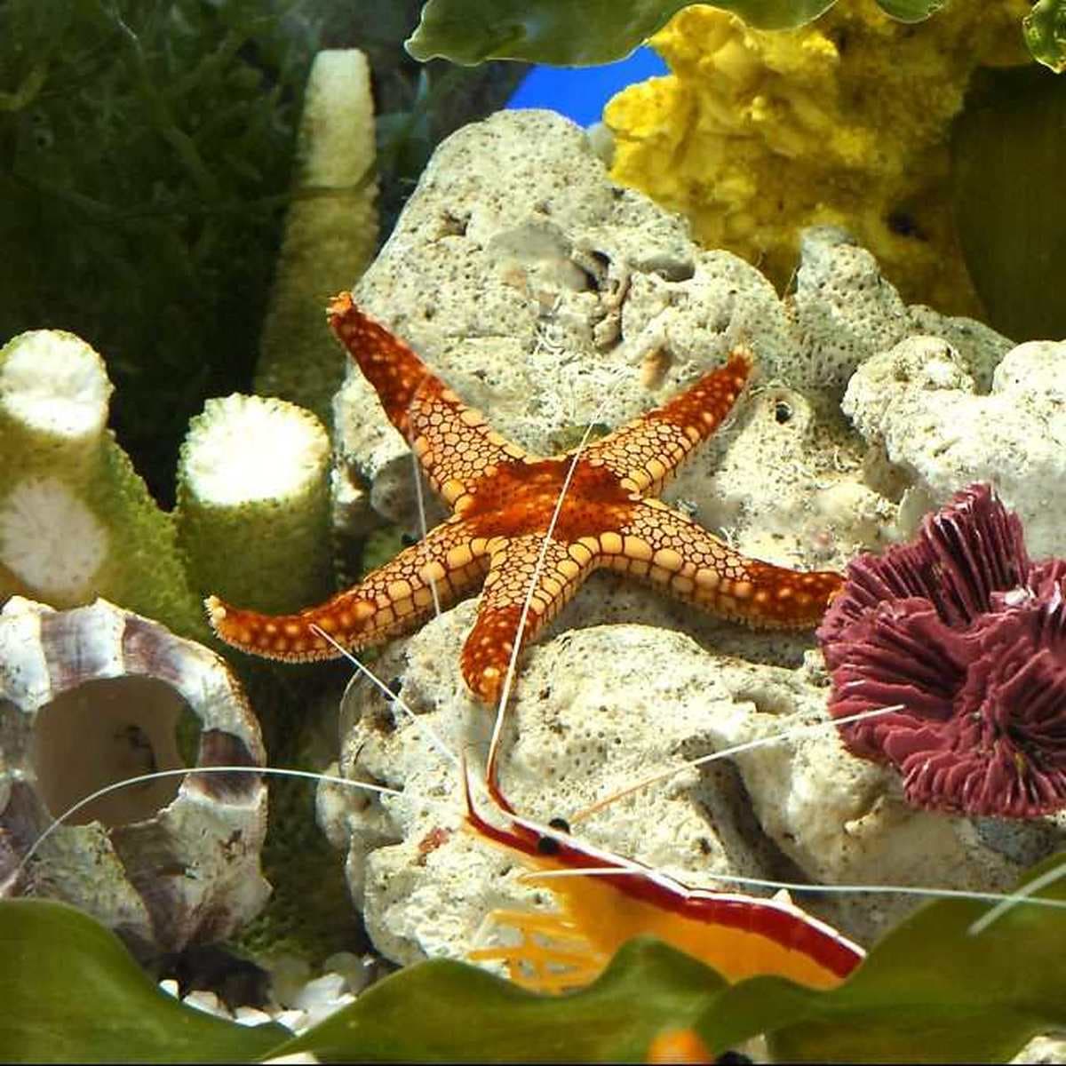 Barcelona Aquarium 3