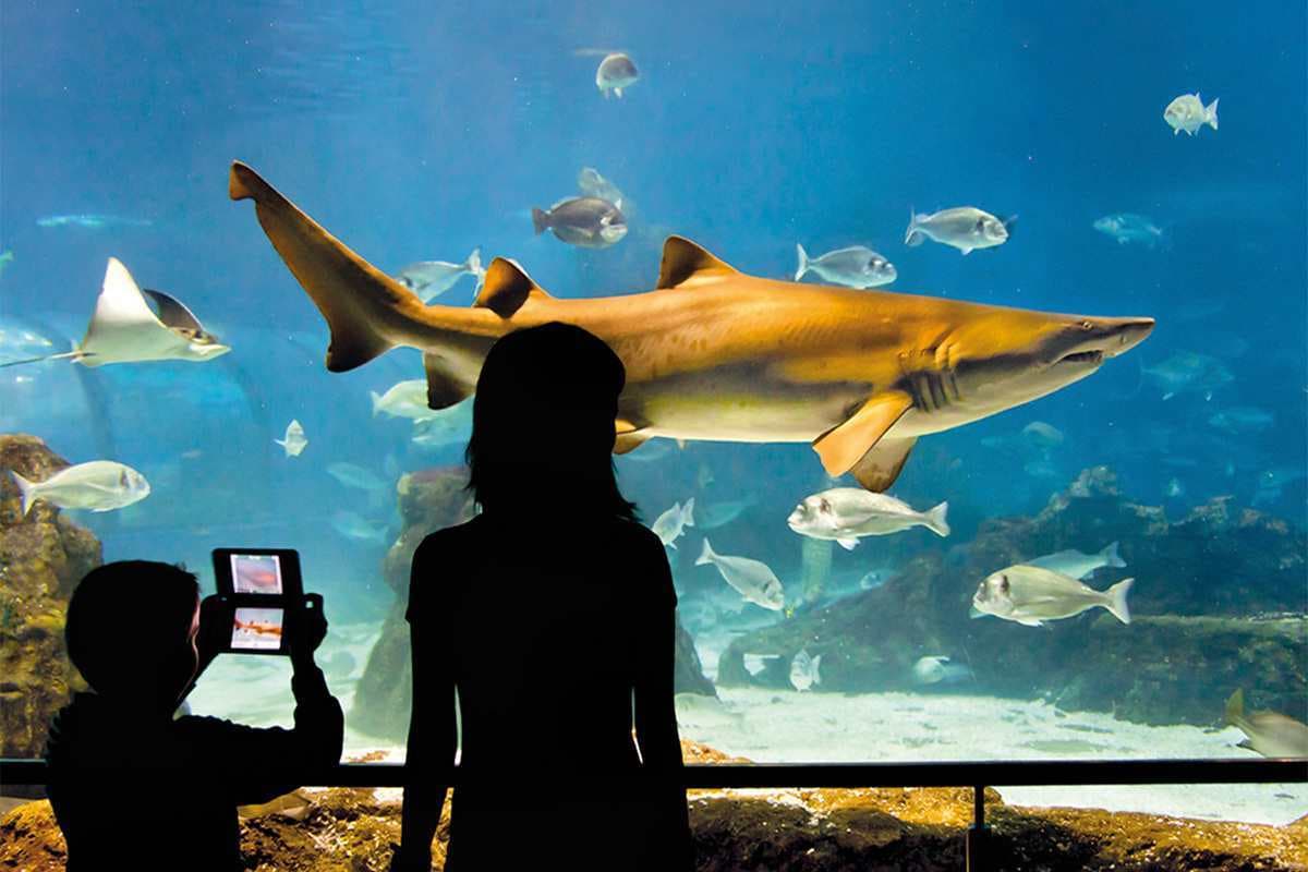 Barcelona Aquarium