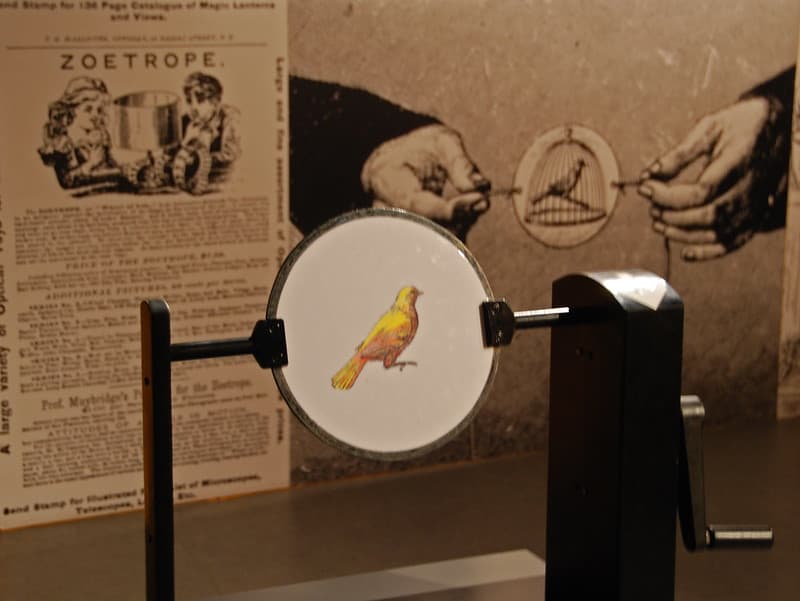 Museu del Cinema de Girona: un viatge visual únic 4