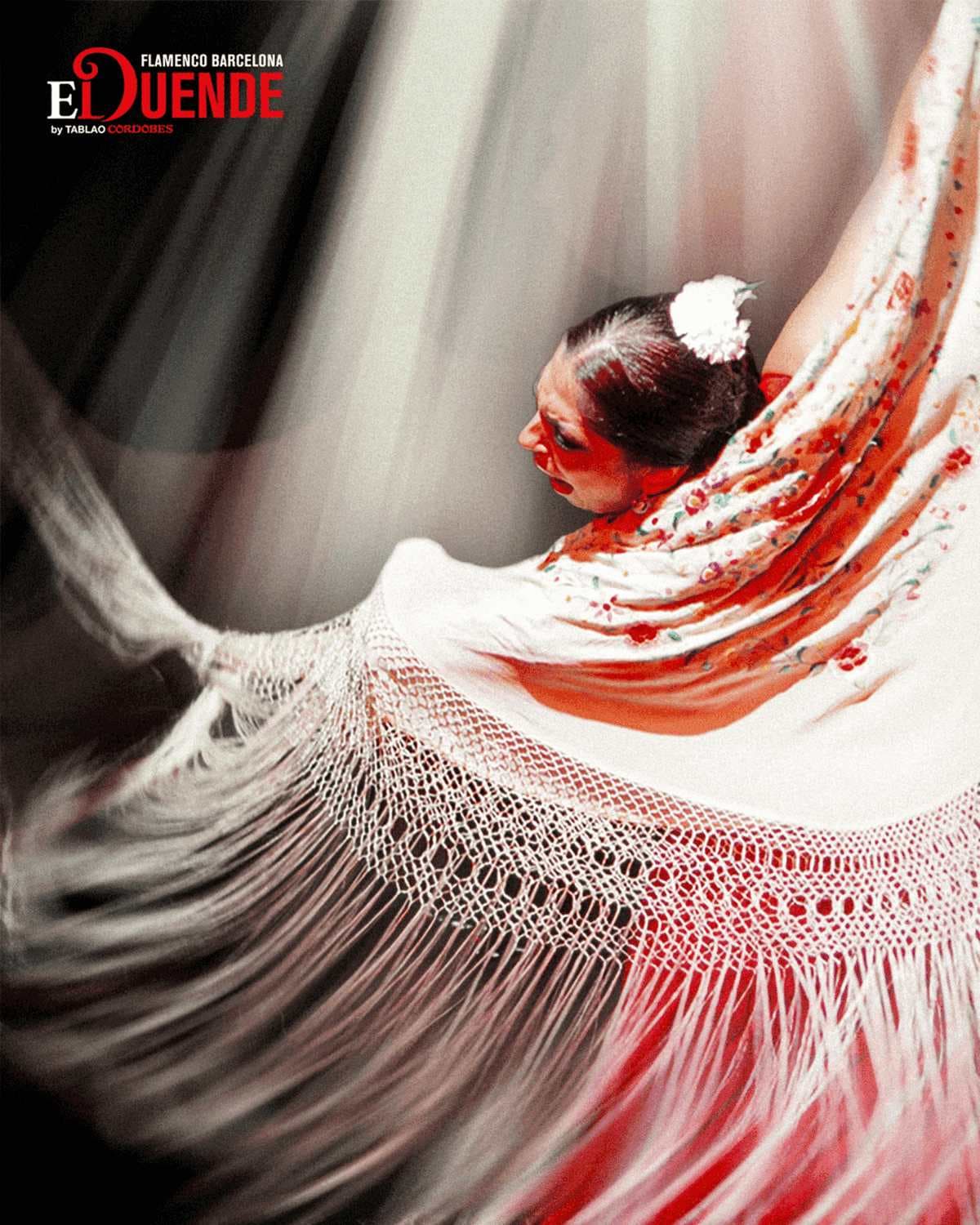 Découvrez la magie du flamenco au Tablao Cordobés 5