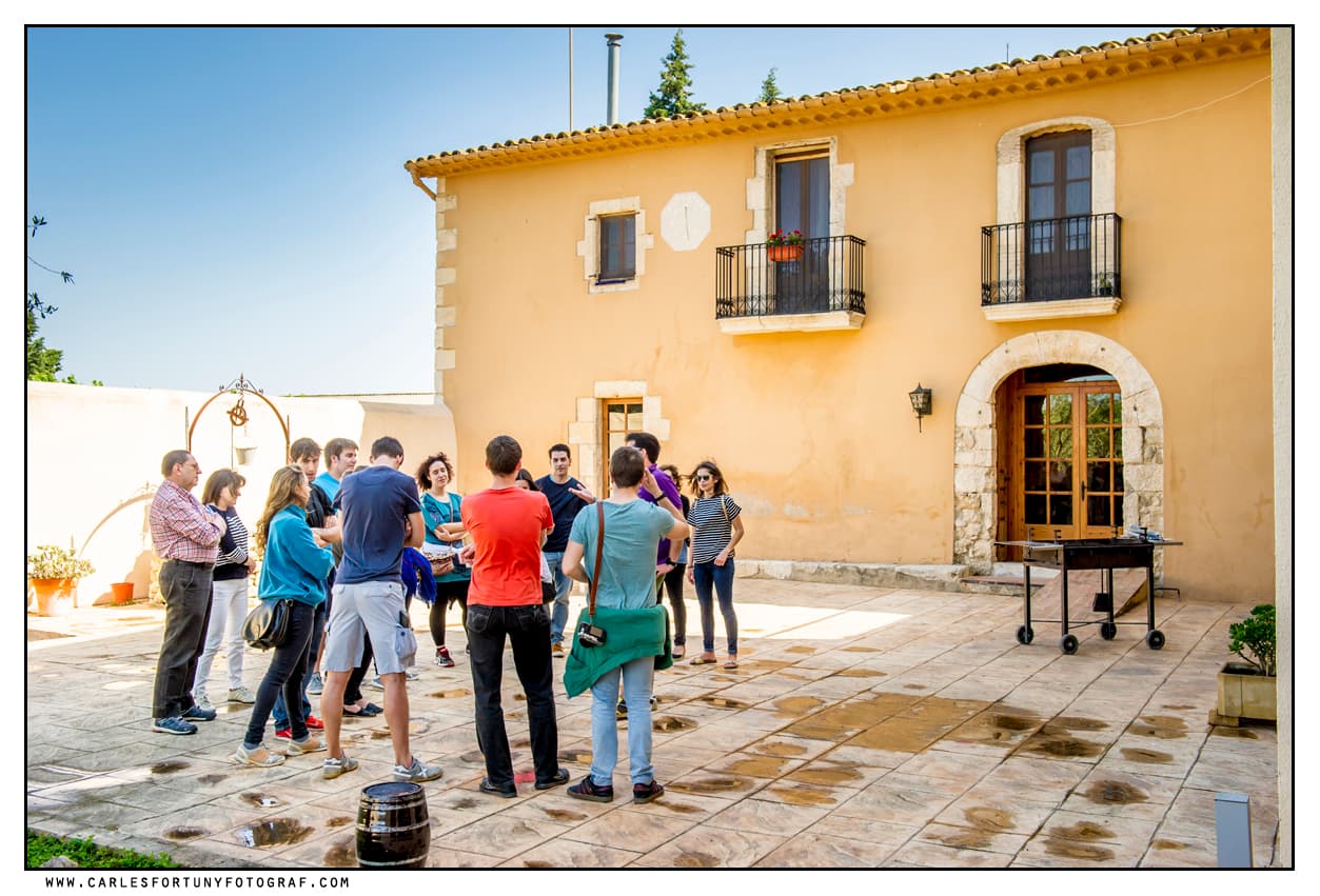 Visita els Nostres Vinyes i Celler: Submergeix-te en la Història del Cava 4