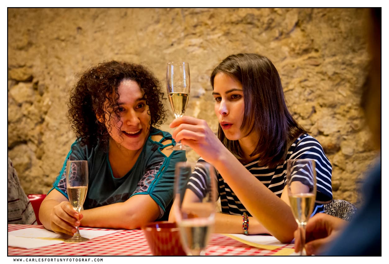 Visita els Nostres Vinyes i Celler: Submergeix-te en la Història del Cava