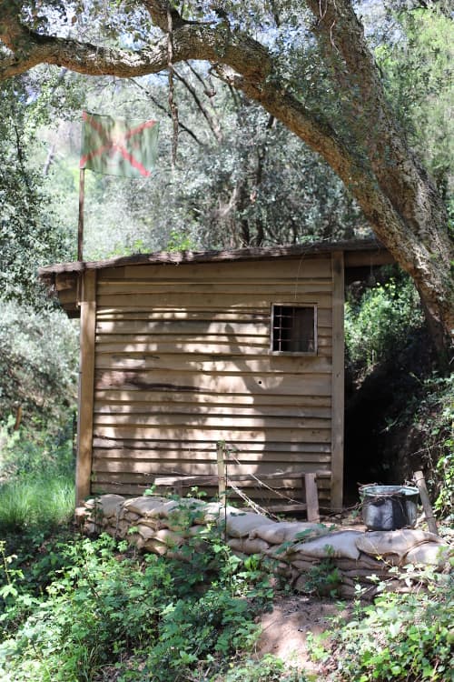 Viu l'Aventura del Forest Escape Game: Desafiament a l'Aire Lliure al Bosc! 2