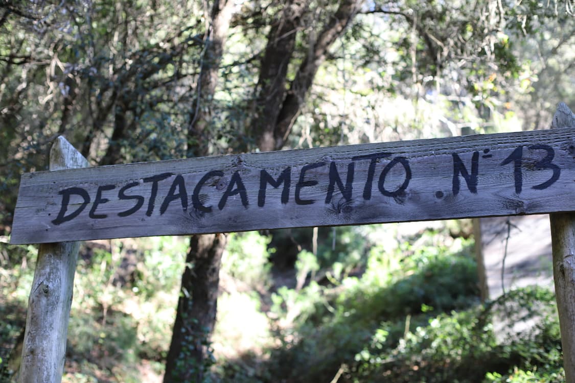Viu l'Aventura del Forest Escape Game: Desafiament a l'Aire Lliure al Bosc!