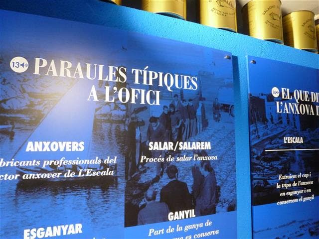 Expérience Anchois : Visite du Musée et Dégustation à L’Escala 5